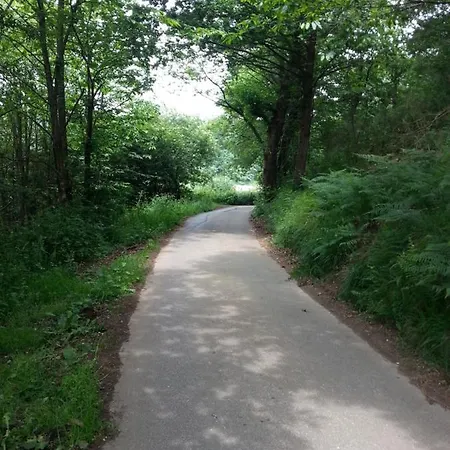 El Calero Lantställe Oviedo